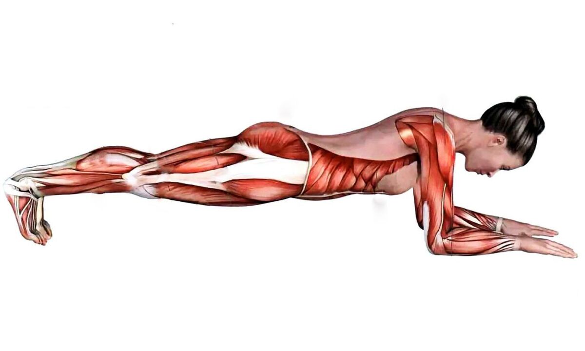 katere mišice delujejo pri deskanju